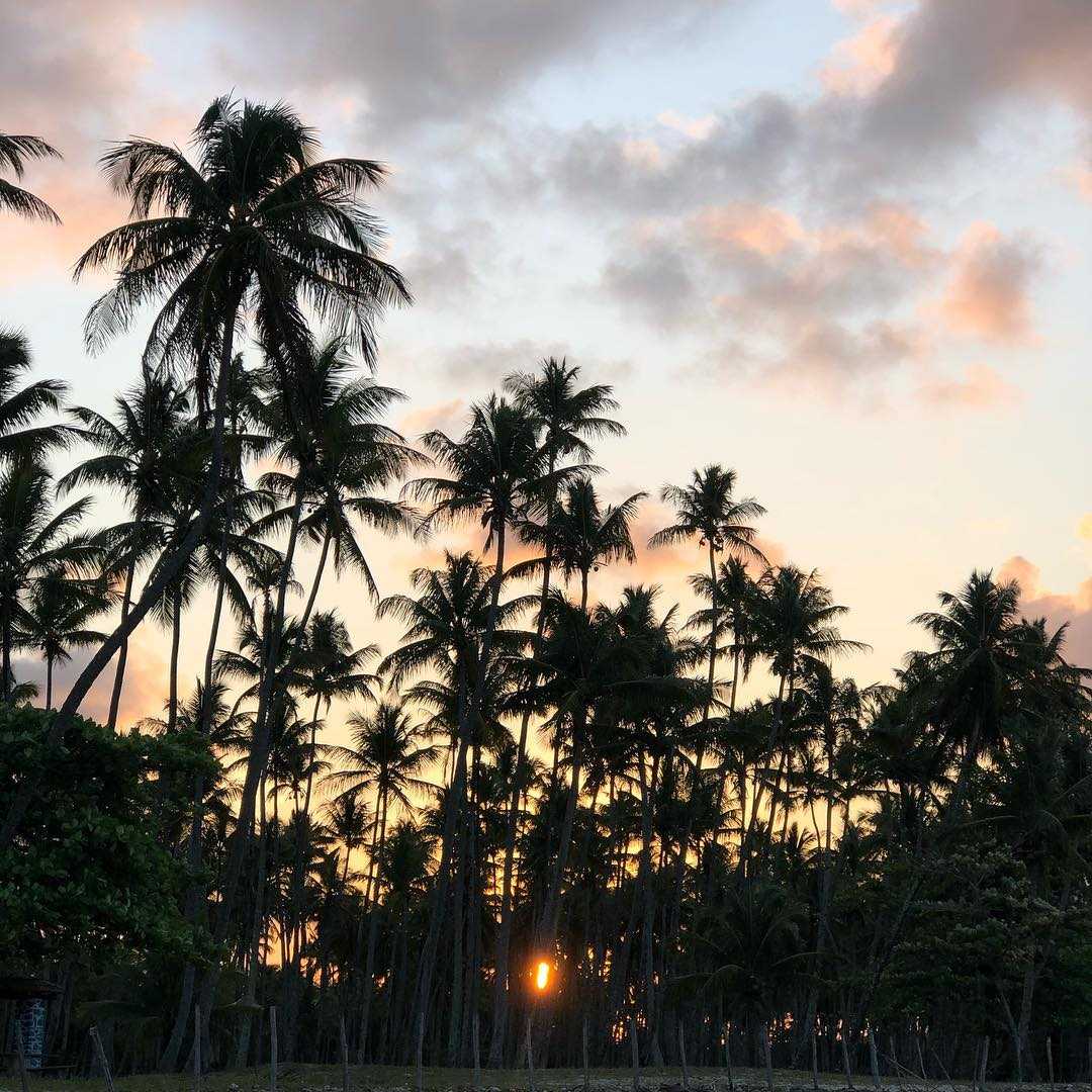 Boipeba Hotels