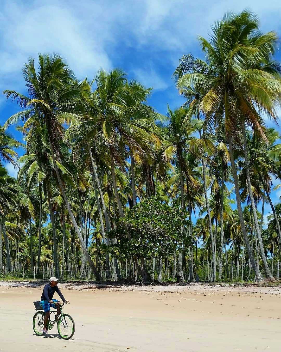 Boipeba Island Brazil