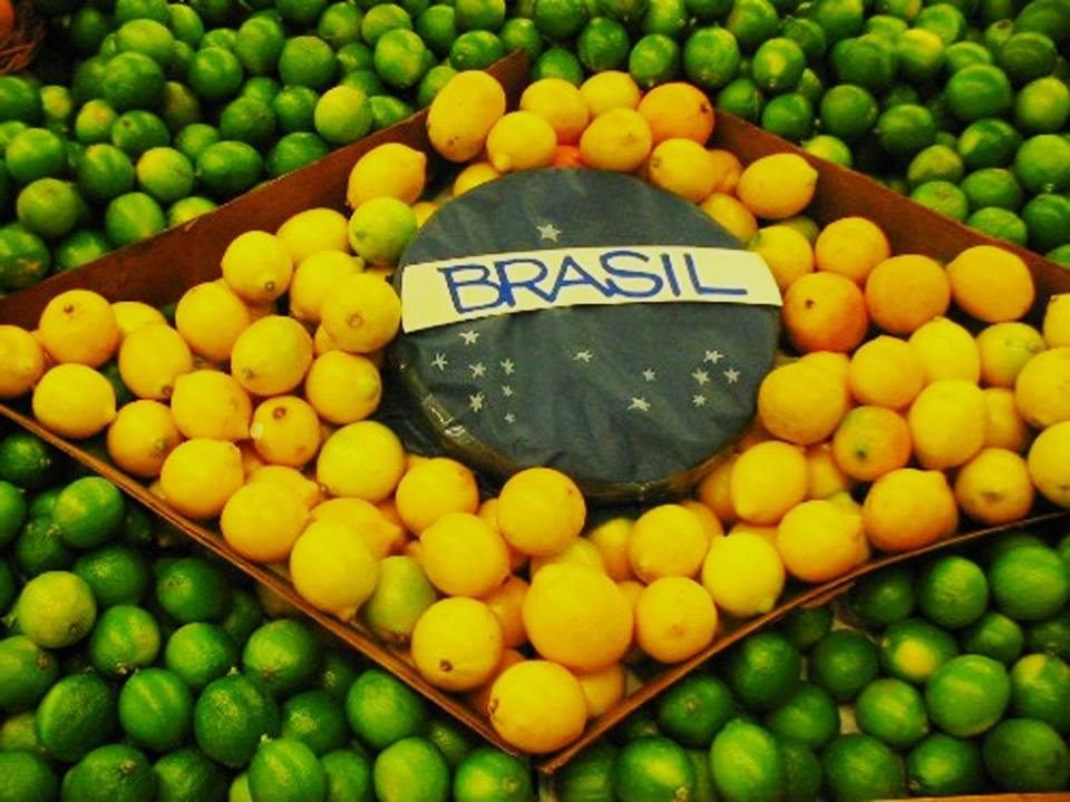 brazil flag brazil ecotour