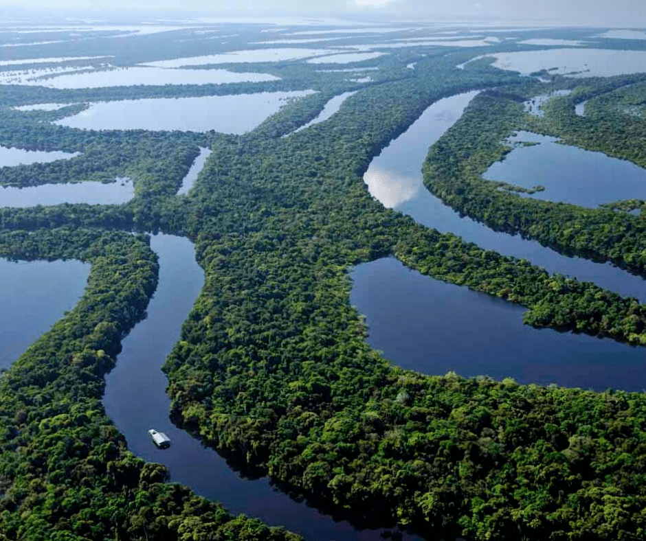 amazon river cruise