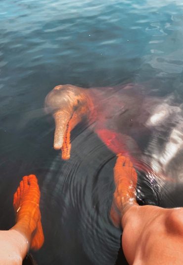 Anavilhanas brazil manaus