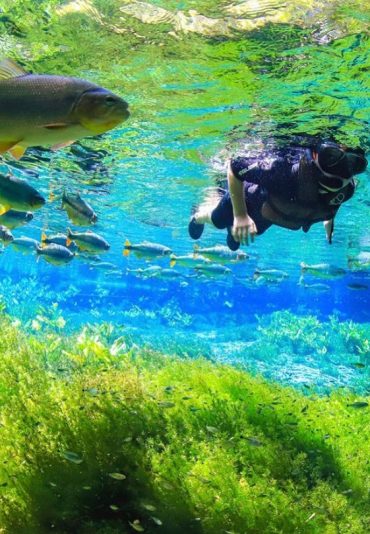 Rio Sucuri Bonito Brazil
