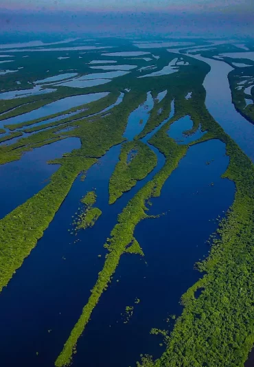 amazon-rainforest-brazil