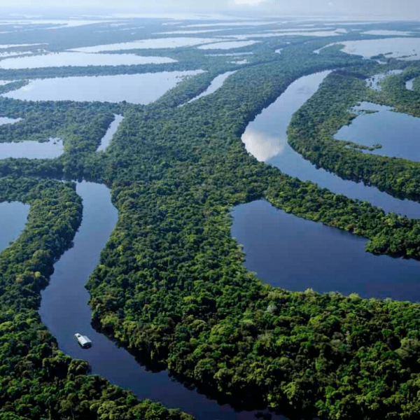 amazon river cruise