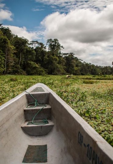 amazonrainforest boat tour