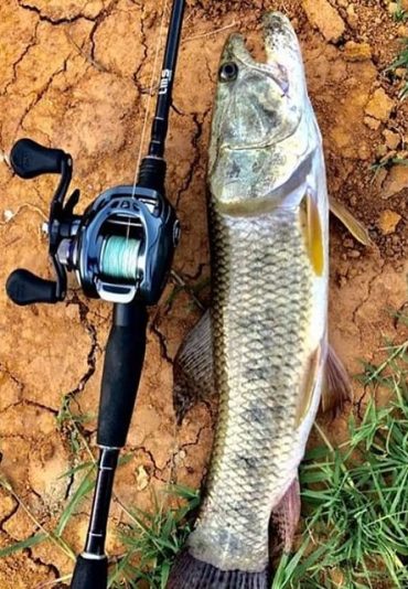 fishing amazon tour brazil