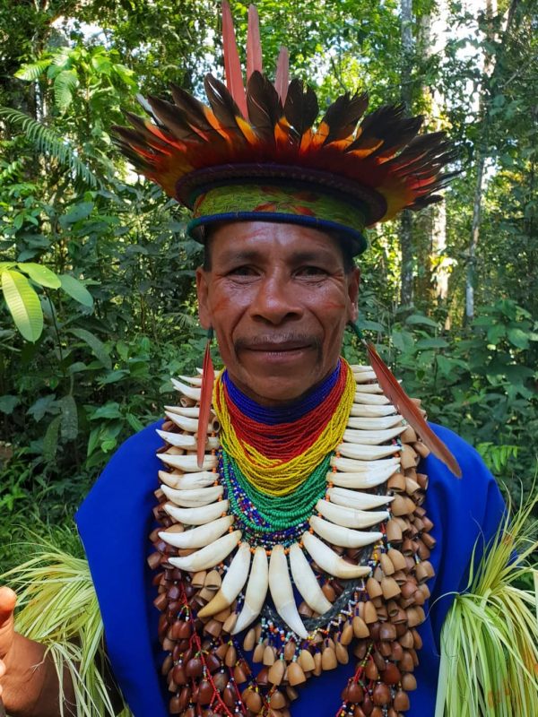 manaus bresil indien manaus bresil